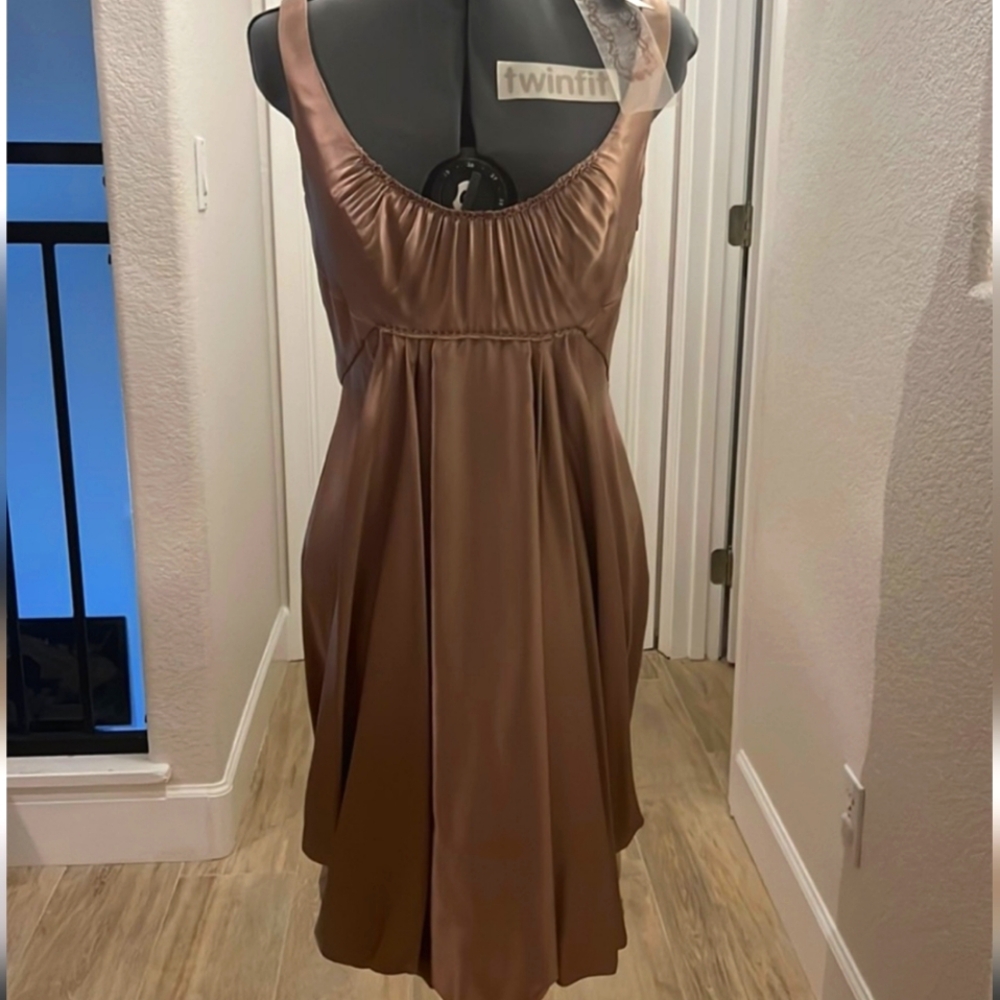 NEW Silk Elie Tahari Champagne Pale Goldish Dress - w tags!